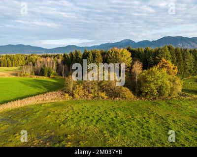 Landschaft mit Bäumen und Bergen in Oberbayern Stockfoto