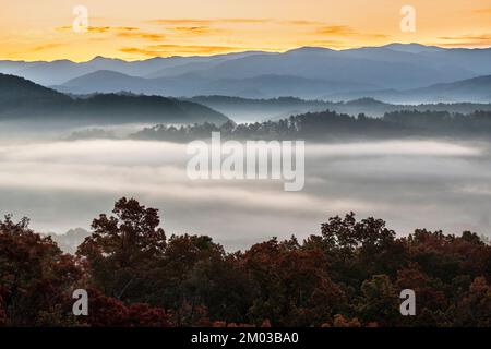 Nebeliger Sonnenaufgang, vom Foothills Parkway. Great Smoky Mountains National Park, TN, USA, Ende Oktober, von Dominique Braud/Dembinsky Photo Assoc Stockfoto