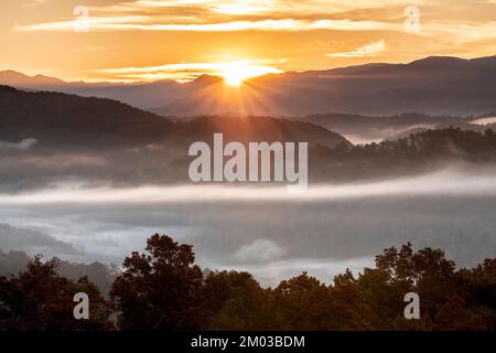 Nebeliger Sonnenaufgang, vom Foothills Parkway. Great Smoky Mountains National Park, TN, USA, Ende Oktober, von Dominique Braud/Dembinsky Photo Assoc Stockfoto