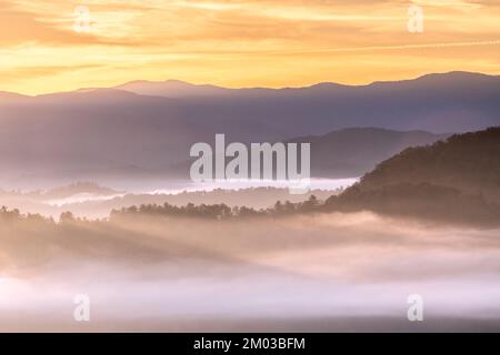 Nebeliger Sonnenaufgang, vom Foothills Parkway. Great Smoky Mountains National Park, TN, USA, Ende Oktober, von Dominique Braud/Dembinsky Photo Assoc Stockfoto