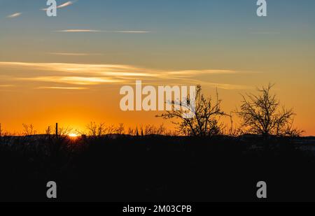 Morgenaufgang über dunklen Büschen und Bäumen im Herbst Stockfoto