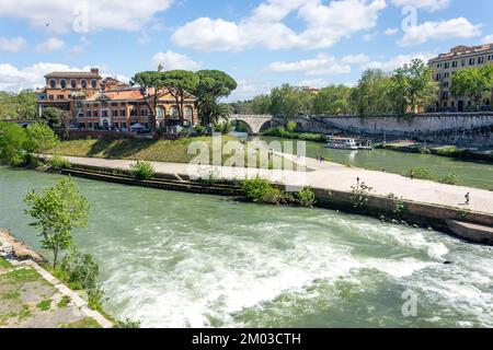 Bootstour auf dem Tiber auf der Insel Tiber (Isola Tiberina), im Zentrum von Rom, Rom (Rom), Latium, Italien Stockfoto