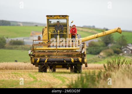 Mähdrescher Stockfoto