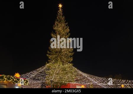 Nachtlandschaft und Blick aus dem niedrigen Winkel auf riesigen Weihnachtsbaum und Kölner Dom während Weihnachtsmarkt, Weihnachtsmarkt in Köln, Deutschland. Stockfoto