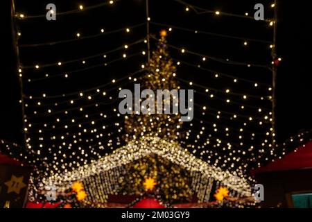 Nachtlandschaft und Blick aus dem niedrigen Winkel auf riesigen Weihnachtsbaum und Kölner Dom während Weihnachtsmarkt, Weihnachtsmarkt in Köln, Deutschland. Stockfoto