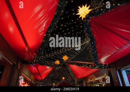 Nachtlandschaft und Blick aus dem niedrigen Winkel auf riesigen Weihnachtsbaum und Kölner Dom während Weihnachtsmarkt, Weihnachtsmarkt in Köln, Deutschland. Stockfoto