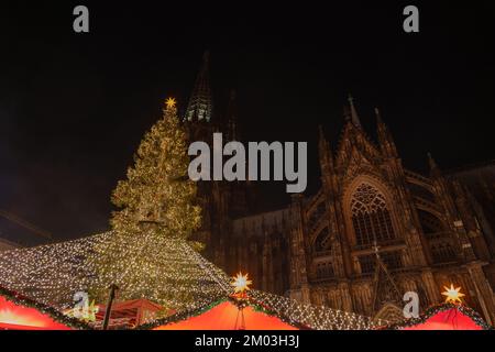 Nachtlandschaft und Blick aus dem niedrigen Winkel auf riesigen Weihnachtsbaum und Kölner Dom während Weihnachtsmarkt, Weihnachtsmarkt in Köln, Deutschland. Stockfoto