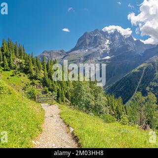 Die Jungfrau Paek in den Berner alpen über den alpenwiesen in Hinteres Lauterbrunnental. Stockfoto