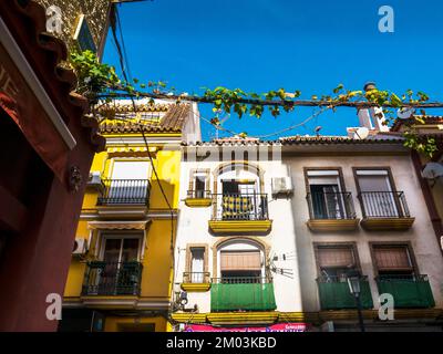 Hotels am 5 km langen Strand von Fuengirola an der Costa del Sol in Spanien Stockfoto