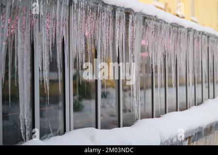 Gefrorene Eiszapfen hängen vom Dach auf dem Gewächshaus. Schnee schmilzt im frühen Frühling und in der Schneebause Stockfoto