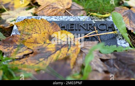 Mainz Mombach, Deutschland. 18.. November 2022. Auf dem Waldfriedhof in der Nähe einer gemeinsamen Urne liegen herbstfarbene Blätter auf einem Gedenkstein. Viele Menschen leben allein und sterben allein. In einigen Fällen gibt es keinen einzigen Verwandten des Verstorbenen. In solchen Fällen müssen die Gemeinden eingreifen. (Zu dpa 'einsam im Tod - wenn Menschen ohne Verwandte sterben') Kredit: Arne Dedert/dpa/Alamy Live News Stockfoto