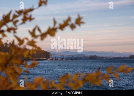 Mt Hood, Oregon, Winteruntergang über dem Columbia River mit eingerahmtem Laub aus Vancouver Washington Stockfoto