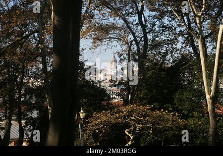 Galataturm vom Gulhane Park in Istanbul, Türkei. Stockfoto