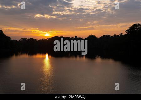 Sonnenaufgangsreflexion im Amazonas-Regenwald, Ecuador. Stockfoto