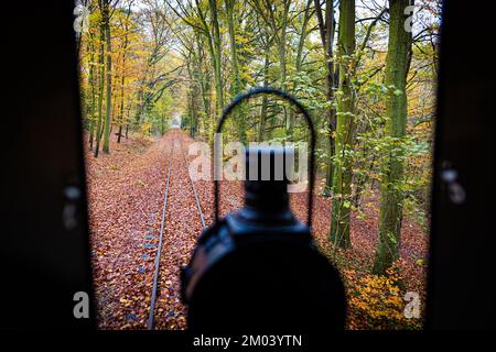 Bruchhausen Vilsen, Deutschland. 26.. November 2022. Eine Lokomotive der Museumseisenbahn fährt durch den Bezirk Diepholz. Insa Drechsler-Konukiewitz aus Bremen ist eine von wenigen Dampflokomotivinnen. Sie schult auch Nachwuchskräfte auf der Museumsschiene in Bruchhausen-Vilsen. Kredit: Moritz Frankenberg/dpa/Alamy Live News Stockfoto