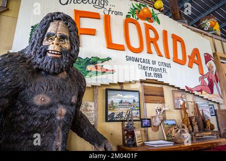 Bigfoot at the Showcase of Citrus, eine Zitrusattraktion am Straßenrand in Clermont, Florida, südöstlich von Orlando. (USA) Stockfoto