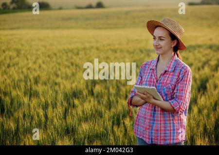 Ein junger Fcrmer überprüft ein Getreidefeld und sendet Daten von einer Tablette an die Wolke. Konzept von Smart Farming und digitaler Landwirtschaft. Erfolgreiche Produktion Stockfoto