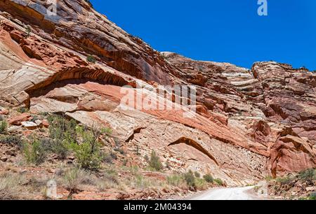 Die Capitol Gorge Road schlängelt sich im Capitol Reef National Park in Utah, USA, durch die Schlucht unter den Chinle Formations Stockfoto