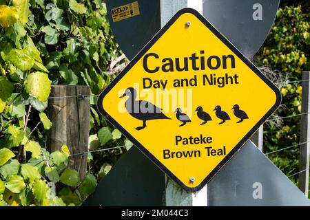 Straßenwarnschild: Braunblaugrün, Tawharanui Regional Park, Tawharanui Peninsular, Auckland, North Island, Neuseeland Stockfoto