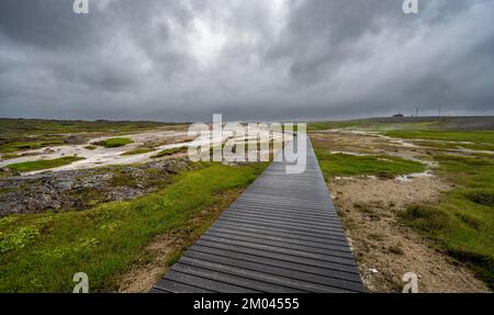 Holzweg zwischen heißen Quellen, geothermisches Gebiet Hveravellir, isländische Hochland, Suðurland, Island, Europa Stockfoto