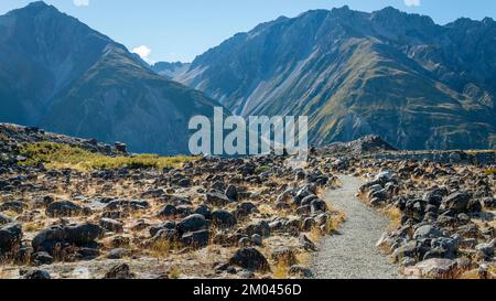 Wandern im Mt Cook Nationalpark im Sommer. Südinsel. Stockfoto