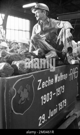 Mit dem letzten Hund beendete das Kohlebergwerk Waltrop seine Kohleförderung auf dem Kohlefeld am 29.06.1979 in Dortmund-Waltrop, Deutschland, Dortmund, Europa Stockfoto