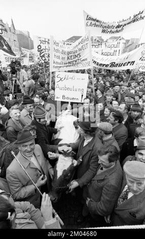 25, 000 Bauern protestieren auf Bonns Marktplatz, 27.03.1981, Deutschland, Europa Stockfoto