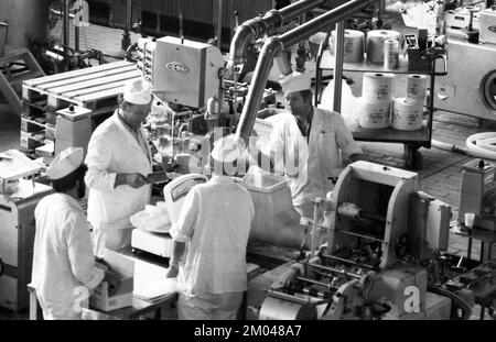 Die Arbeit der Molkerei Westmilch bei der Butterherstellung am 28.05.1980 in ihrem ford-Extertal, DEU, Deutschland, Herford, Europa Stockfoto