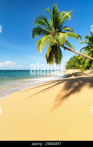 Playa Uva, Puerto Viejo, Limon, Karibik, Costa Rica, Mittelamerika Stockfoto