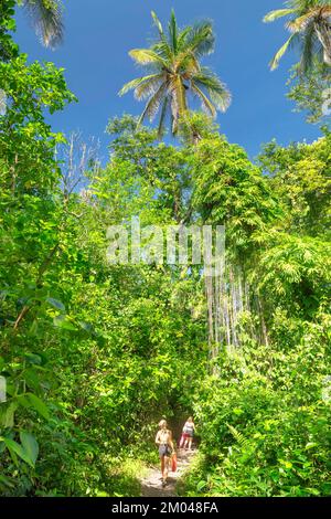 Parque Nacional Cahuita, Limon, Karibik, Costa Rica, Mittelamerika Stockfoto