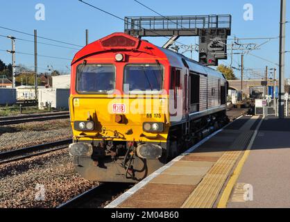 DB Liveried Klasse 66 Diesellokomotive Nr. 66175 transportiert eine Fracht in Richtung Süden durch Peterborough, Cambridgeshire, England, Großbritannien Stockfoto