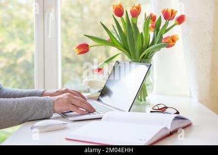 Hände einer Frau, die auf einem Laptop-Computer tippt, auf einem weißen Schreibtisch mit Blumendekoration am Fenster, Heimbüro, Kopierbereich, ausgewählter Fokus, n Stockfoto