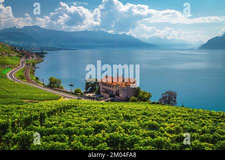 Atemberaubende ordentliche Weinberge und spektakuläres Haus am See Genf, Rivaz, Schweiz, Europa Stockfoto