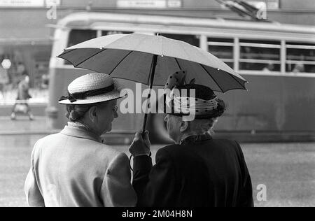 Regenschirme in den 1950er Jahren. Der Regen strömt in Strömen und zwei ältere Damen halten sich mit einem Schirm über den Kopf. Es ist ein Regentag in Stockholm Schweden 1953. ref. 1,2 Stockfoto