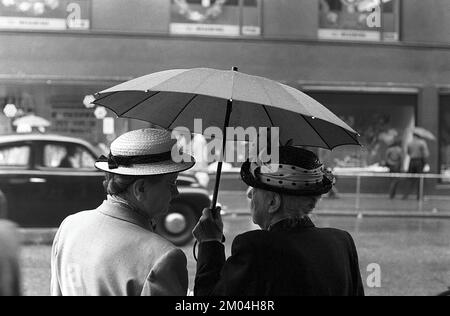 Regenschirme in den 1950er Jahren. Der Regen strömt in Strömen und zwei ältere Damen halten sich mit einem Schirm über den Kopf. Es ist ein Regentag in Stockholm Schweden 1953. ref. 1,2 Stockfoto