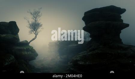 Brimham Rocks in the Fog mit isoliertem Baum Stockfoto