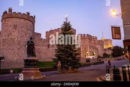 Weihnachtsbaum vor dem Schloss in Royal Windsor Berkshire, England, Großbritannien Stockfoto