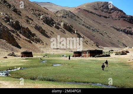 Nomad-Zelte in der Nähe des Minarets von Jam, Provinz Ghor in Afghanistan. Nomaden haben hier ihre Zelte aufgestellt, um ihre Tiere auf der Wiese zu grasen. Stockfoto