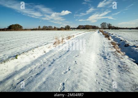 Fußspuren auf einer schneebedeckten Straße zwischen den Feldern, Winter sonniger Tag Stockfoto