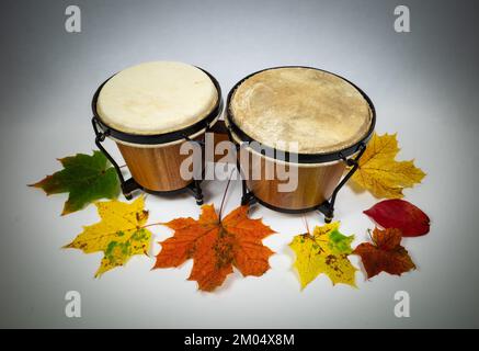 Ein Paar Congas-Schlaginstrumente auf weißem Hintergrund und farbenfrohen Herbstblättern. Stockfoto