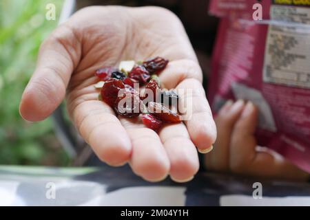 Nahaufnahme der getrockneten Cranberries-Hand Stockfoto