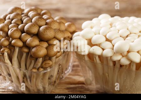 Weiße und braune Buchenpilze oder Shimeji-Pilze in Kunststoffbehältern auf Holztisch. Horizontal Stockfoto