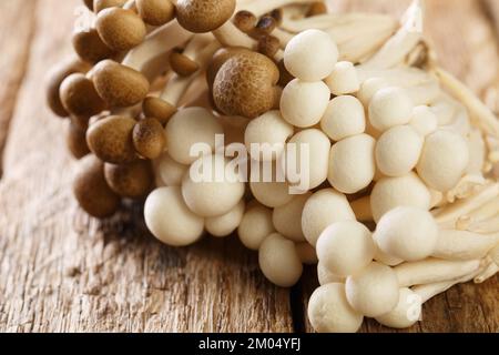 Rohe organische Strähne weißer und brauner essbarer Buchenpilze oder Shimeji-Nahaufnahme auf einem Holztisch. Horizontal Stockfoto