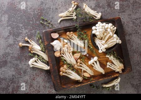 Essbare rohe weiße und braune Buchenpilze mit Thymian und Knoblauch zum Kochen auf einem Küchenbrett auf dem Tisch. Horizontale Draufsicht von oben Stockfoto