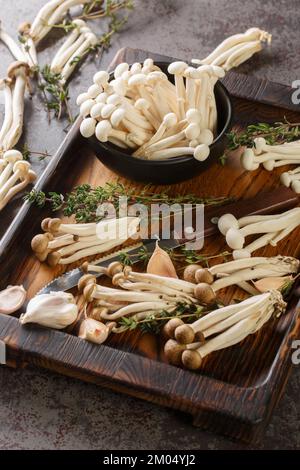 Weiße und braune essbare Buchenpilze oder Shimeji mit Kochzutaten auf Holzbrett auf dem Tisch. Vertikal Stockfoto