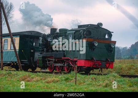 Putbus, Deutschland. 04.. Dezember 2022. Die Dampflokomotive 53 Mh (99 4633 mph) der kleinen Eisenbahn „Rasender Roland“ fährt einen Zug über die Insel Rügen. Der Zug fährt auf der Strecke Putbus-Göhren (24,5 km), dem letzten Stück eines ursprünglich 97 km langen Schmalspurbahnnetzes auf Rügen. Kredit: Stefan Sauer/dpa/Alamy Live News Stockfoto