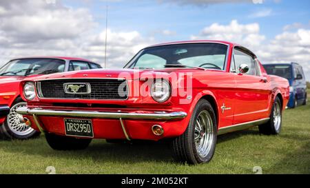 1966 Ford Mustang „DRS 295D“ auf der Oktoberfeier im Bicester Heritage Centre am 9.. Oktober 2022 Stockfoto