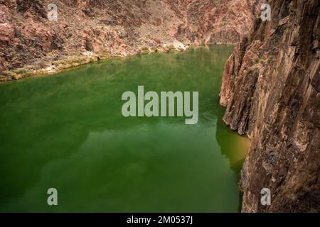 Das ruhige Wasser des Colorado River dreht die Ecke um Eine hohe Klippe im Grand Canyon Stockfoto