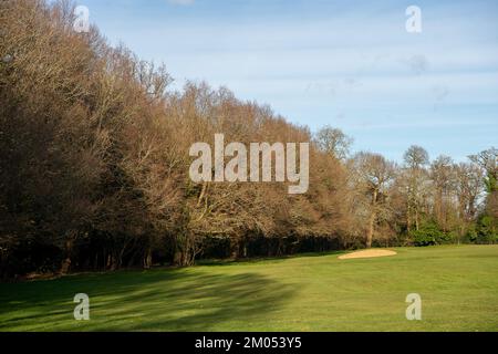 Maidenhead, Berkshire, Großbritannien. 1.. Februar 2022. Der Golfplatz Maidenhead wird in den lokalen Stadtplan für die Sanierung aufgenommen. Cala Homes plant, über 2.000 Häuser auf dem Gelände zu bauen, und die Einheimischen sind darüber wütend. Der Golfplatz umfasst eine Gegend mit uralten Wäldern und ist ein großer Lebensraum für alle Arten von Tieren, einschließlich Hirsche, Dachse, Fledermäuse und Eichhörnchen. Die Einheimischen stellen einen Plan zusammen, um die Sanierung des Golfplatzes Maidenhead zu stoppen. Kredit: Maureen McLean/Alamy Stockfoto