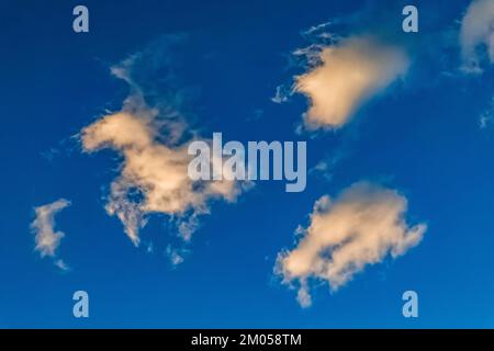 Sonnenuntergang über dem antiken Bristlecone Pine Forest, Inyo National Forest, Kalifornien, USA Stockfoto